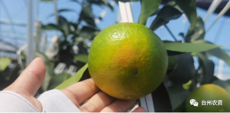 1675672505184305.png 640 (64).png