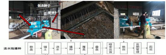 臺(tái)州農(nóng)資 臺(tái)州農(nóng)資