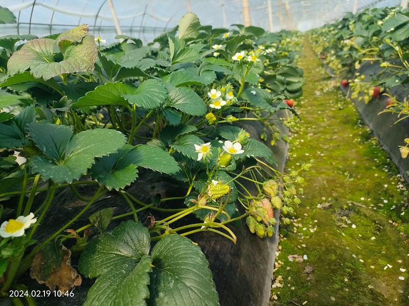 臺(tái)州農(nóng)資 臺(tái)州農(nóng)資